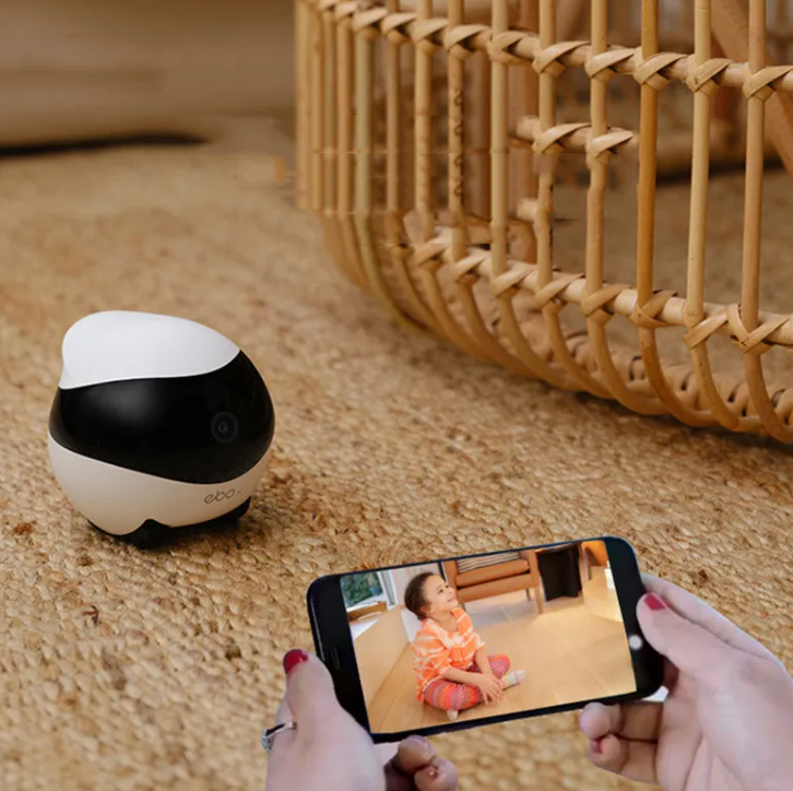 Robot Monitoring Mobile Camera